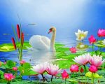 White Swan And Lotus Paint By Numbers