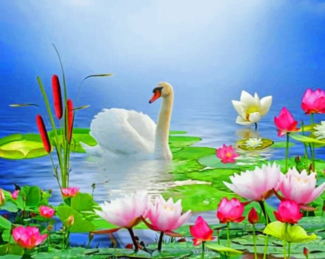 White Swan And Lotus Paint By Numbers