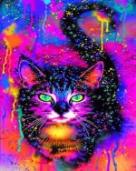Abstract Colorful Cat Paint By Numbers