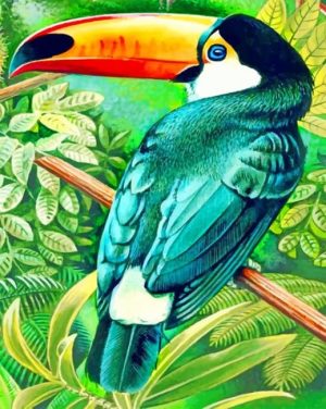 Toucan Bird Paint By Numbers