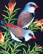 Finch Birds Paint By Numbers