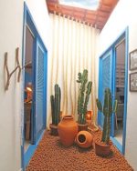 Cactus Plants Pots Paint By Numbers