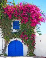 Blue Door And Blooms Paint By Numbers
