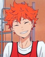 Hinata Shoyo Paint By Numbers