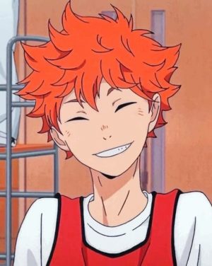 Hinata Shoyo Paint By Numbers