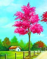 Nature And Farmhouse Paint By Numbers