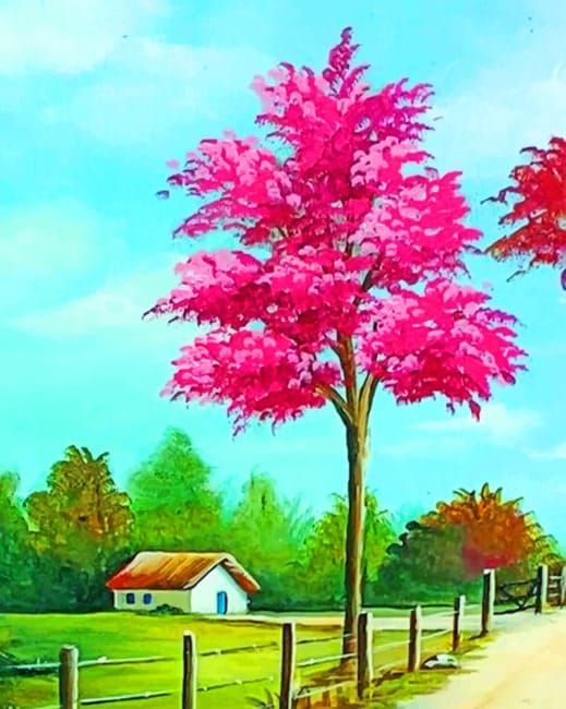 Nature And Farmhouse Paint By Numbers