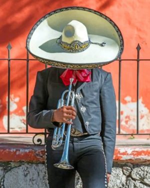 Mexican Man Paint By Numbers