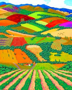 Countryside Fields Paint By Numbers