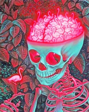 Flamingos Brain skull Paint By Numbers