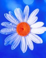 White Daisy Paint by numbers