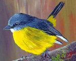 Black And Yellow Bird Paint By Numbers