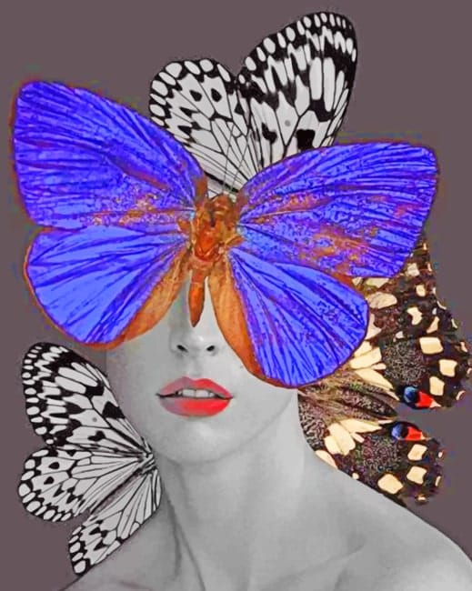 Butterfly Woman Paint By Numbers