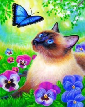 Siamese And Butterfly Paint By Numbers