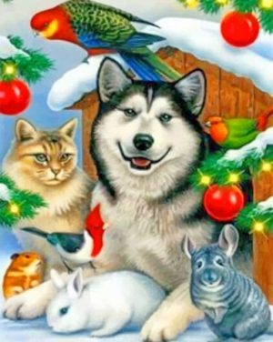 Cat And Dog With Bunnies Paint By Numbers