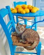 Cat On Chair Paint By Numbers