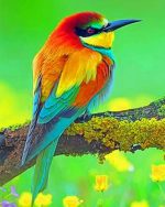 European Bee Eater Paint By Numbers