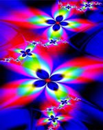 Colorful Flowers Paint By Numbers