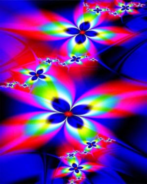 Colorful Flowers Paint By Numbers