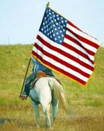 United Stated Flag Paint By Numbers