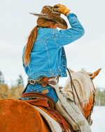Cowgirl On Horse Paint By Numbers