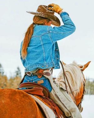 Cowgirl On Horse Paint By Numbers