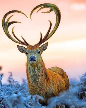 Aesthetic Deer paint by numbers