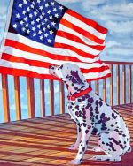 Dalmatian And US Flag Paint By Numbers