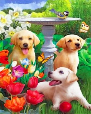 Labrador Puppies Paint By Numbers