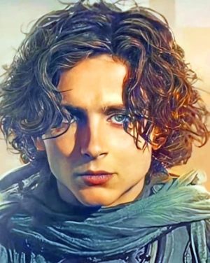 Dune Paul Atreides Paint By Numbers