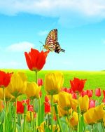 Flowers And Butterfly Paint by numbers