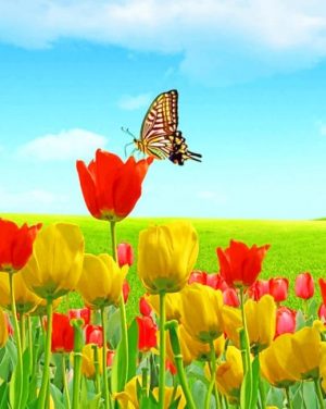 Flowers And Butterfly Paint by numbers