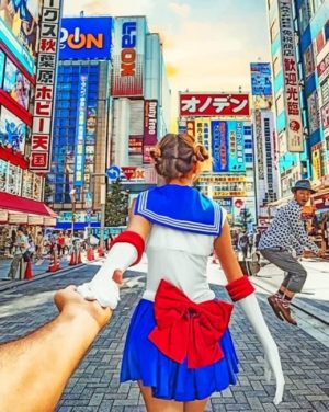 Follow Me To Japan Paint By Numbers