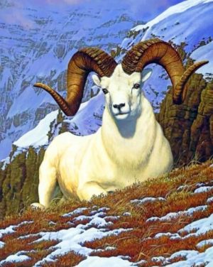 White Bighorn Sheep Paint By Numbers