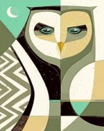 Owl Bird Illustration Paint By Numbers