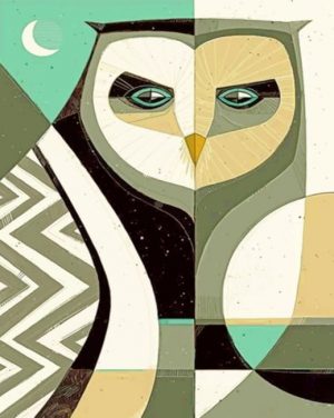 Owl Bird Illustration Paint By Numbers