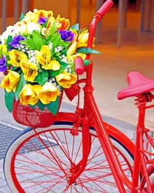Red Bike And Flowers Paint By Numbers