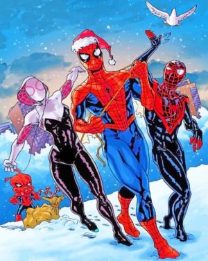 Spider Man In Winter Paint By Numbers
