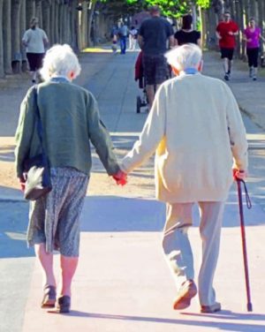 Old Couple Holding Hands Paint By Numbers