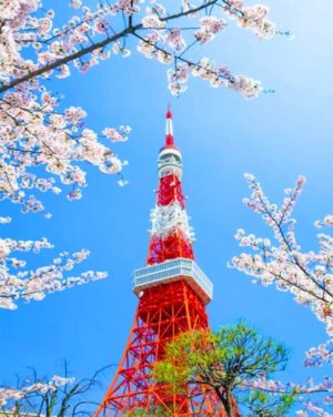 Tokyo Tower Paint By Numbers