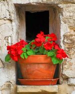 Vintage Red Flowers Paint by numbers