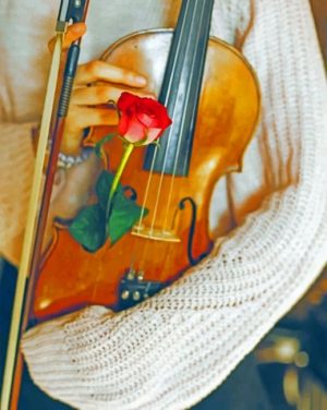 Violin And Rose Paint By Numbers