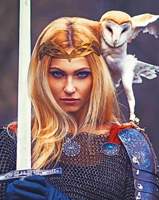 Warrior Woman And Owl Paint By Numbers