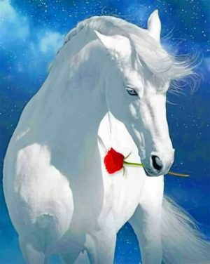 White Horse Holding A Rose Paint By Numbers
