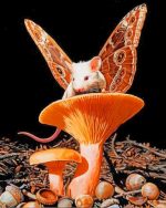 Butterfly Mouse Paint By Numbers