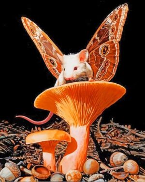 Butterfly Mouse Paint By Numbers