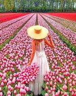 Woman In Pink Tulips Field Paint By Numbers