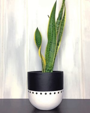 Bohemian Plant Pot Paint By Numbers