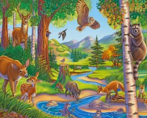 Animals Forest Paint By Numbers