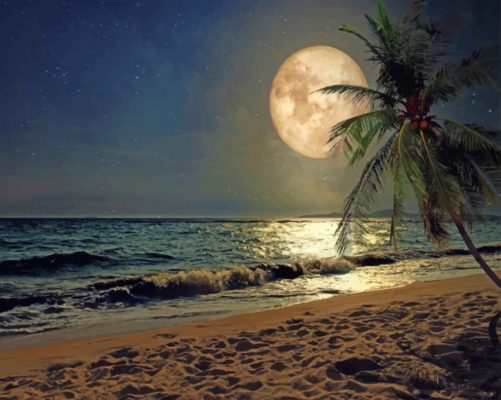 Beach Moonlight Paint By Numbers